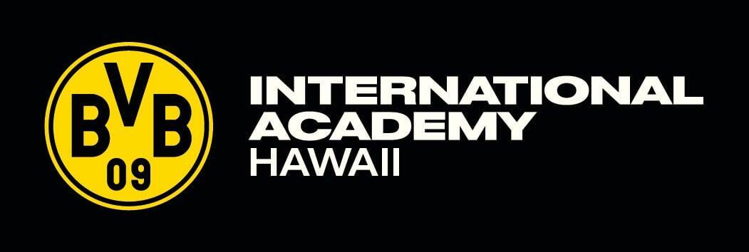 BVBIA Hawaii